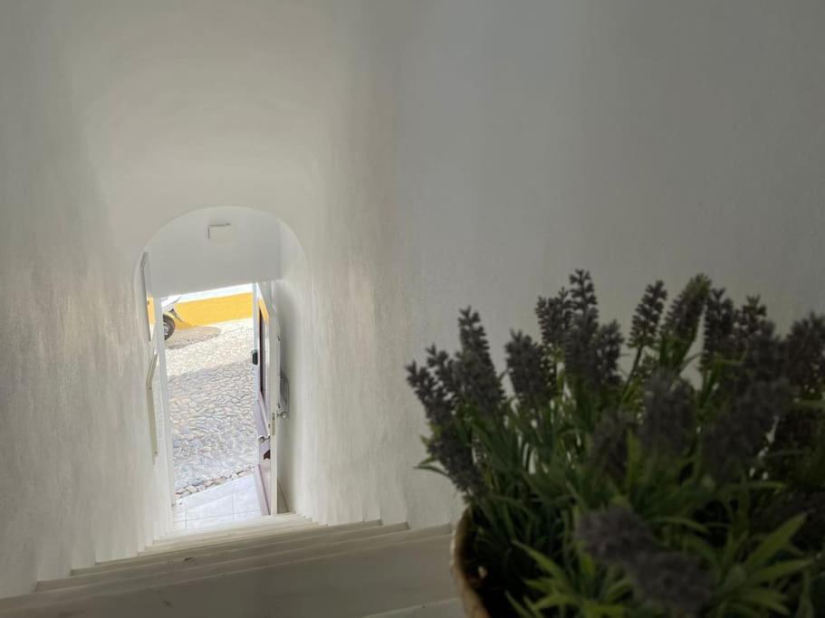 Casa Da Oliveira Appartement Évora Buitenkant foto